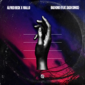 Bad Kind (feat. Sash Sings) - Single