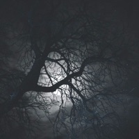 The Bargain (Original Soundtrack) - Single - Chris Warner