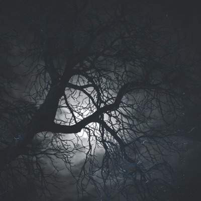 The Bargain (Original Soundtrack) - Single