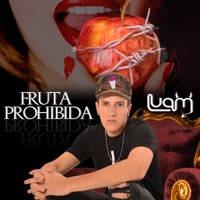 Fruta Prohibida - Single - Luam