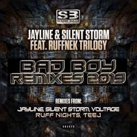 Bad Boy (Silent Storm Remix) [feat. RuffNek Trilogy] Jayline & Silent Storm