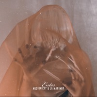 Entes - Single - Mediopicky & La Marimba