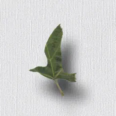 收听 Smile Eyes、观看音乐视频、阅读小传、查看巡演日期等 ！