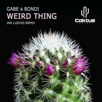 Weird Thing - Single - Gabe & Bondi
