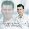 Mevaip Sadiku - Cycja