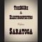 Saratoga - TheBGBx and Electrospectro lyrics