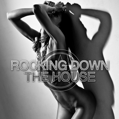 Rocking Down The House: Electrified House Tunes, Vol. 4