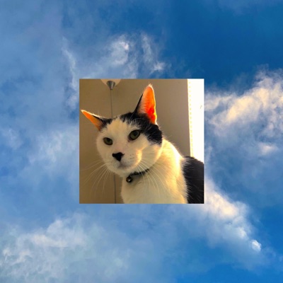 Struggling (feat. Ben CB) - Single