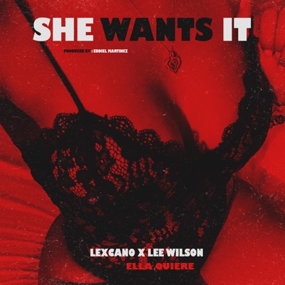 Ella Quiere (feat. Lee Wilson) - Single
