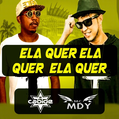 Elas Quer Elas Quer Elas Quer - Single
