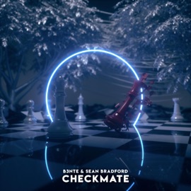 Checkmate B3nte & Sean Bradford