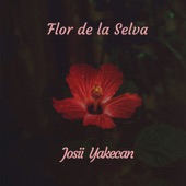 Flor de La Selva artwork