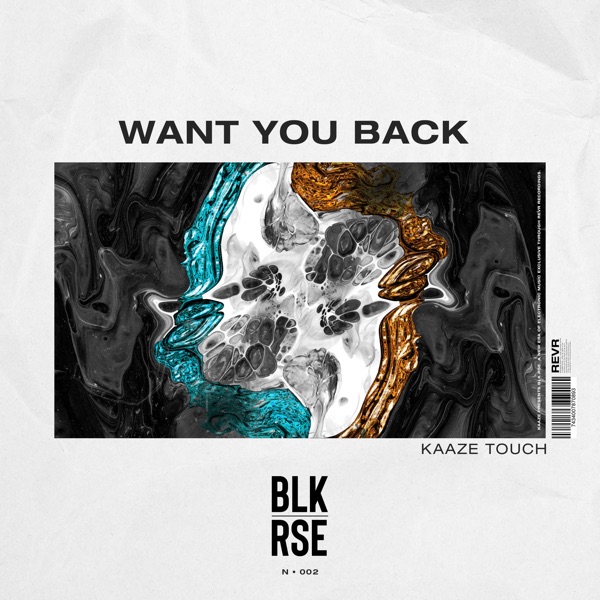 Want You Back (Kaaze Touch) [feat. Kaaze] - Single