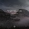 Wasteland (Wooli Remix) artwork