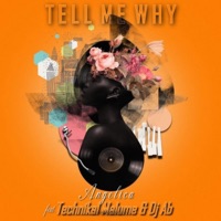 Tell me why? (feat. Technikal Malume & DJ AB) - Single - Angelica