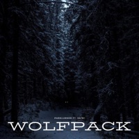 Wolfpack (feat. Jafri) - Single - Parklurker