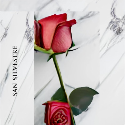 San Silvestre - Single