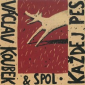 Každej pes artwork