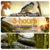 50 Nature Sounds: 3 Hours Relaxing Instrumental Music for Welness Spa & Massage - Dominika Jurczuk-Gondek