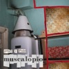 Muscalopio - Calidad de Vida