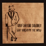 Driftwood Soldier - All My Friends