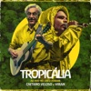 Tropicália (342 Amazônia ao Vivo no Circo Voador) - Single