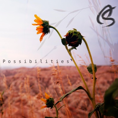 Possibilities - Single