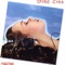 Amber Dream - Spyro Gyra lyrics