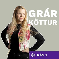 Grár Þjóðhátíðarköttur