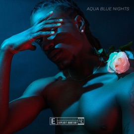 Wrong Things (feat. Sya Rnb) R. Rose