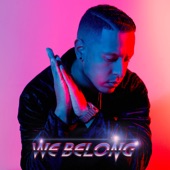 Like We Belong artwork