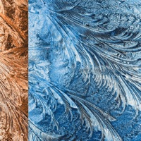 Icicle - Single - Bdice