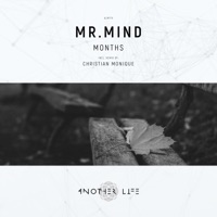 Months - Mr.Mind
