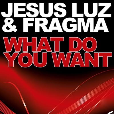What Do You Want (Remixes)