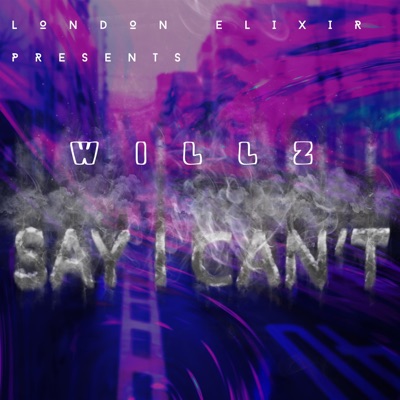 Say I Can't (feat. J Willz) - Single