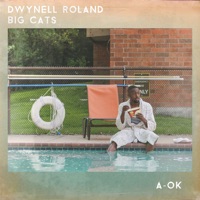 A-Ok - Ep - Dwynell Roland & Big Cats!