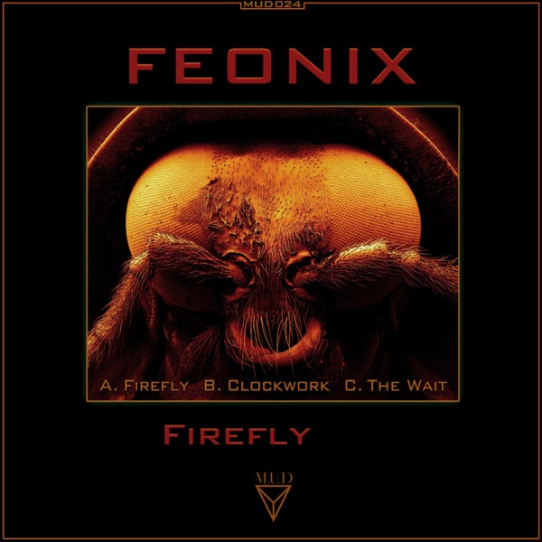 Firefly - Single