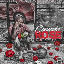 P***y N***a Florida City Zig