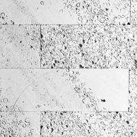 The Leap - Single - LunchBreakJake