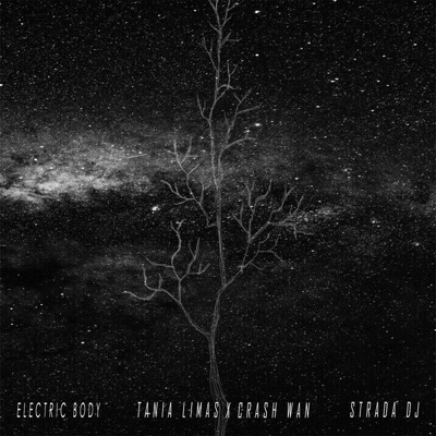 Electric Body (feat. Crash Wan & Strada DJ) - Single