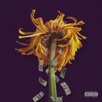 Abscission (feat. Eric Scott) - Single - Sol ChYld