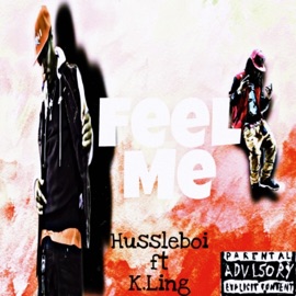 Feel Me (feat. K.Ling) Hussleboi