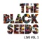 So True - The Black Seeds lyrics