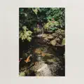A Letter In Summer