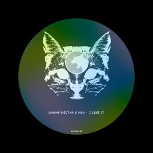 I Like It - Single