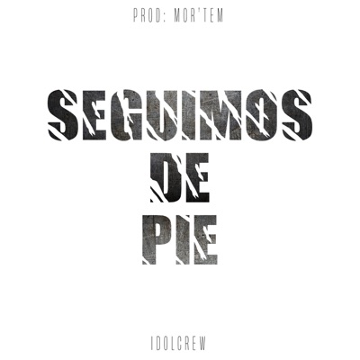 Seguimos de Pie - Single