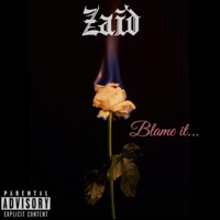 Blame It - Single - Zaid