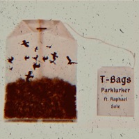 T-Bags (feat. Raphael Sole) - Single - Parklurker