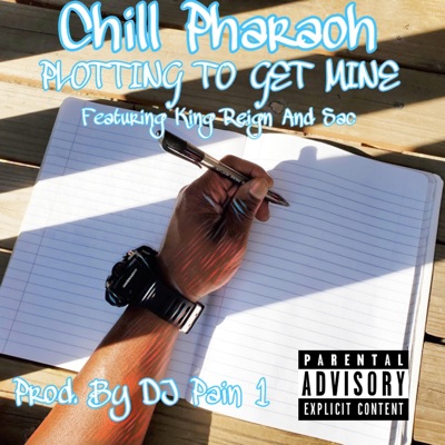 Plotting to Get Mine (feat. King Reign & Sac) - Single