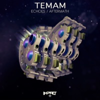 Aftermath / Echoes - Single - Temam